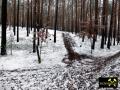 Endmoränen-Landschaft des Niederlausitzer Grenzwalls am Königsberg bei Gehren, Niederlausitz-Spreewald, Brandenburg, (D) (5) 24.01.2015.JPG